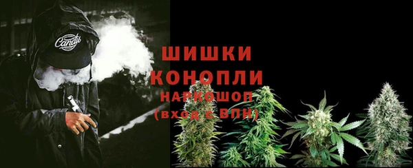 ПСИЛОЦИБИНОВЫЕ ГРИБЫ Каменногорск
