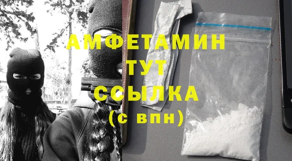 mix Инта