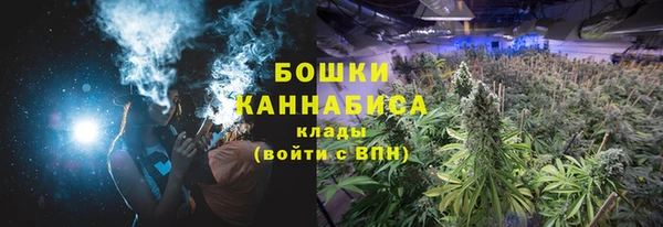 ПСИЛОЦИБИНОВЫЕ ГРИБЫ Каменногорск