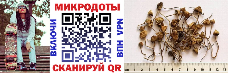где можно купить   KRAKEN зеркало  Галлюциногенные грибы Cubensis  Катав-Ивановск 